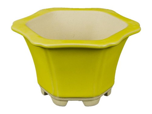 Pot bonsaï hexagonal - bonsaï,