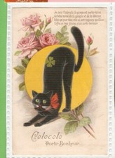CHAT NOIR carte postale