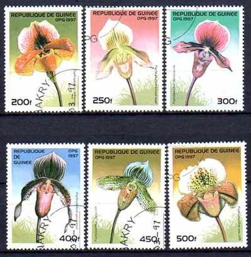 Flore fleurs orchidées - -,