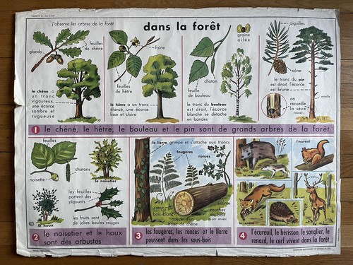 Ancienne affiche scolaire 1960