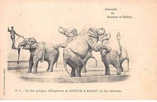 CIRQUE - SAN63608 - Souvenir