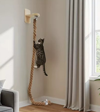 Corde Chat - Grattoir - Escalade