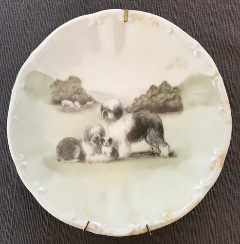 Old english sheepdog - old,