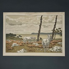 Lithographie par Henri