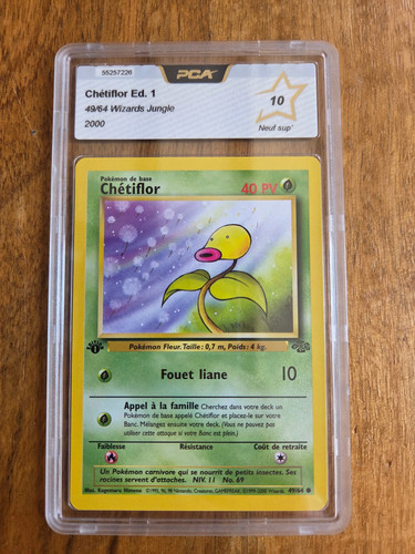 Carte pokémon chetiflor 1ère - pokémon,