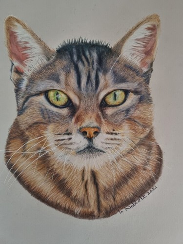 Fine art pencil drawing - ., caran