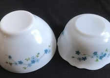 ARCOPAL Veronica 2 bols fleurs