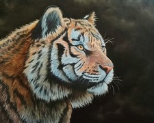 Peinture, série animalière