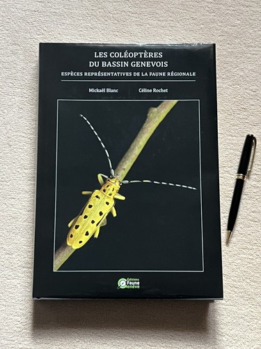 Les coléoptères bassin - coléoptères, du