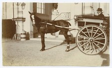 E583 Photo Original vintage Voiture à cheval Hippomobile beau tirage et format