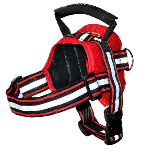 Rouge résistant chien chiot - chien,