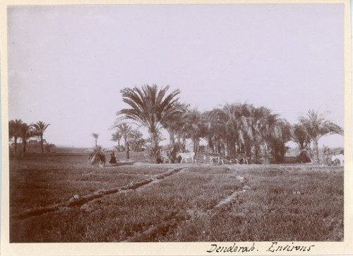 Egypte denderah vintage - ,