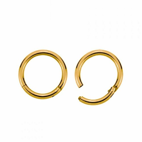 Segment clicker septum - segment,