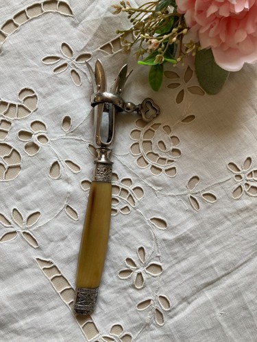 425 ancienne pince - 425⚜️,