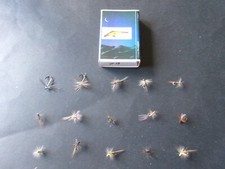 15 véritables mouches de