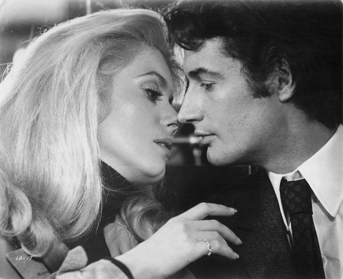 Catherine deneuve van hool - catherine,
