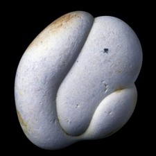 ★☆ GOGOTTE MAROC de