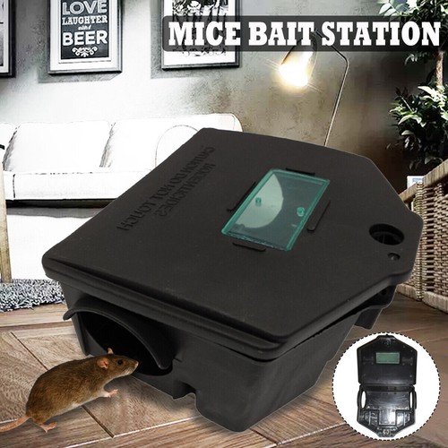 Piège rat boîte appât - piège,