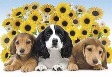 Puzzle Friends Puzzle Master Jigsaw Puzzle 450 Pieces [08511]