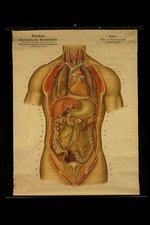 Lot d'anciennes affiches