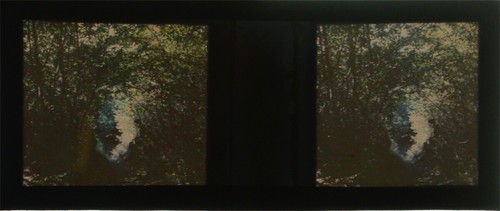 Rare autochrome stéréo - autochrome,