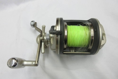 Daiwa sealine x40h ishidai - sealine,