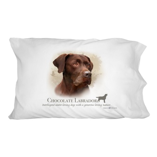 Chocolate lab labrador dog - lab,