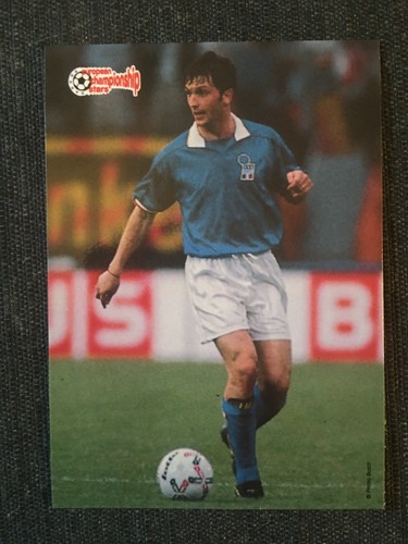 Card panini plascot - no,