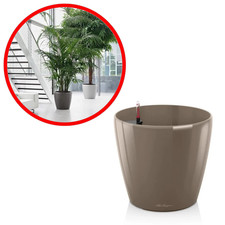 LECHUZA Classico Premium 60 Pot de Fleurs Taupe Brillant Ø60cm Kit Complet