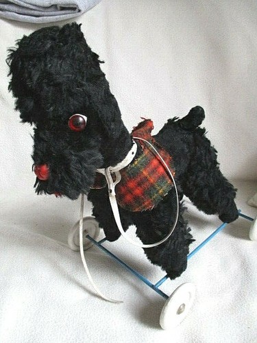 Caniche noir roulettes - caniche, a