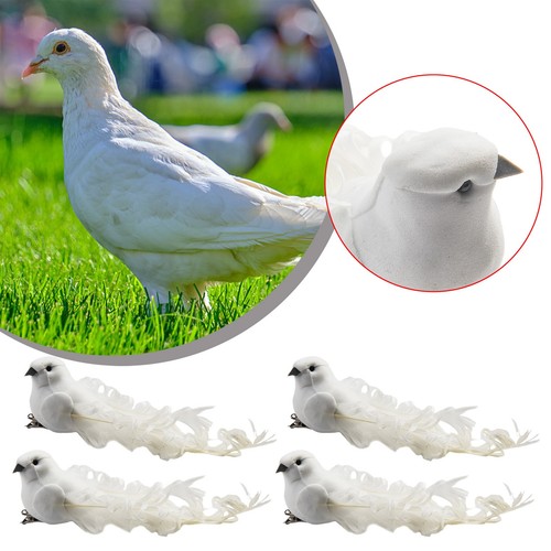Pack colombes en mousse - pack,