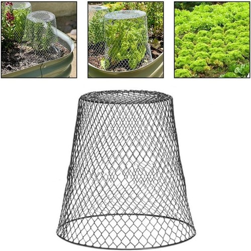 Cloche protection pour - protection,