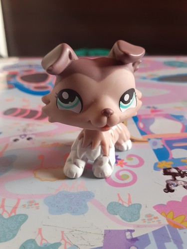 Little petshop lps chien - ,