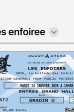 place de concert Les Enfoirés