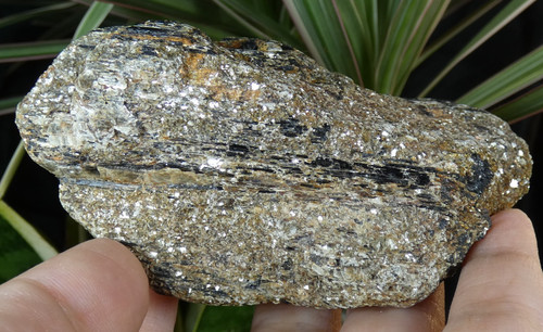 Tourmaline schorl dans mica - schorl,