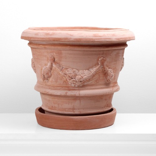 Petit pot plantes - plantes, terre