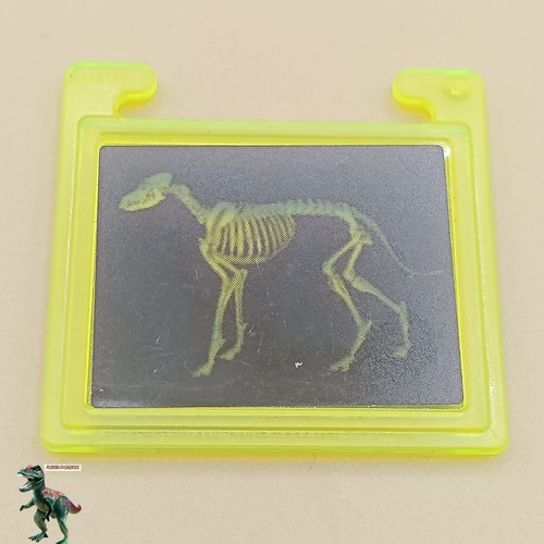Playmobil-rayons