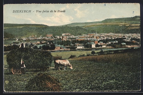 Cpa diekirch vue prise - cpa,