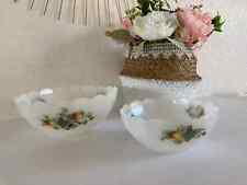 25 ⚜️ Ancien Lot de deux Saladiers Arcopal France Décor Motif Fruits Vintage