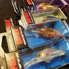 Rapala Shad Rap Fat Jack 04