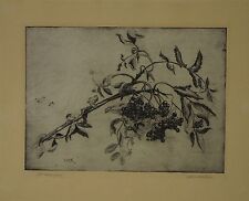 Walter Julius Küpper (1905-