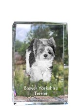 Biewer Terrier, Yorkshire Terrier - Cristal Avec Einem Hundebild, Image Dans