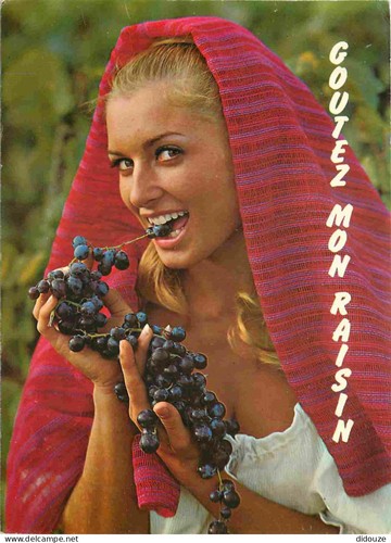 Carte postale vignes - carte,