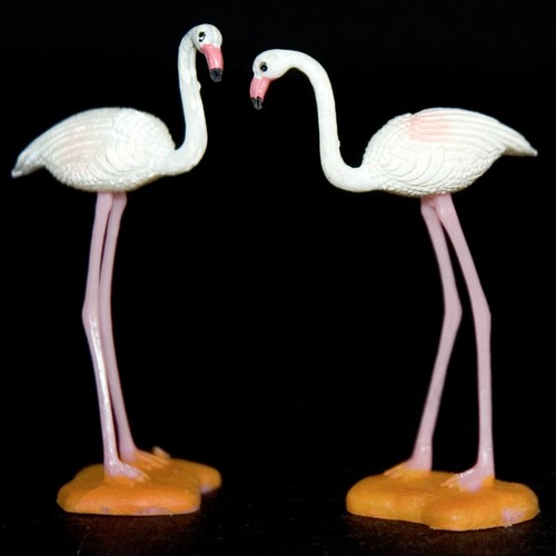 Flamingos géant zoo - flamingos,