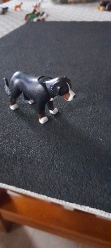 Animal gros chien compagnie - animal, de