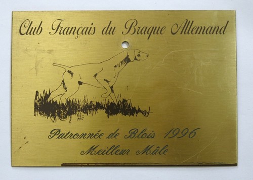 Club français braque - club, du
