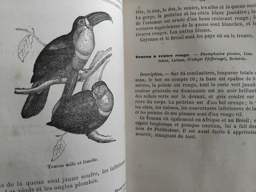 Manuel amateur des - de, l'amateur