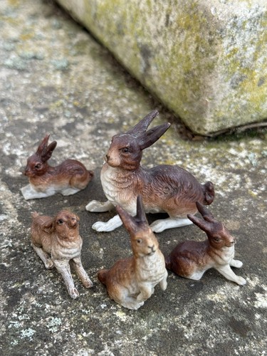 Famille lièvre biscuit - lièvre, en