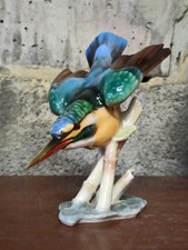 Oiseau Martin Pêcheur en