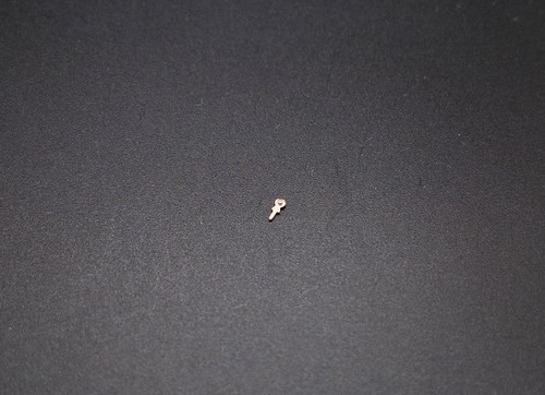 Replacement watch pièce - replacement,